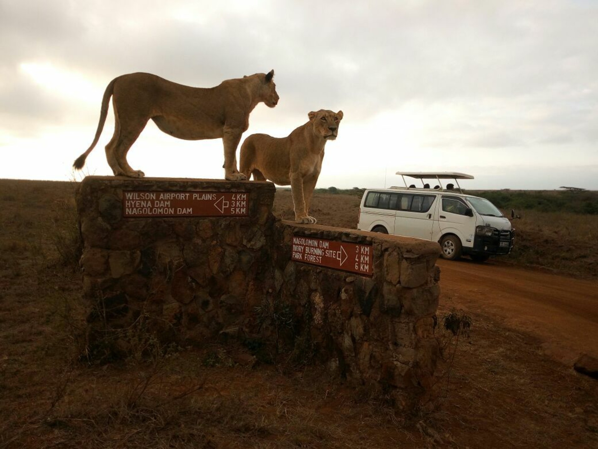 3-Days Amboseli and Tsavo East 