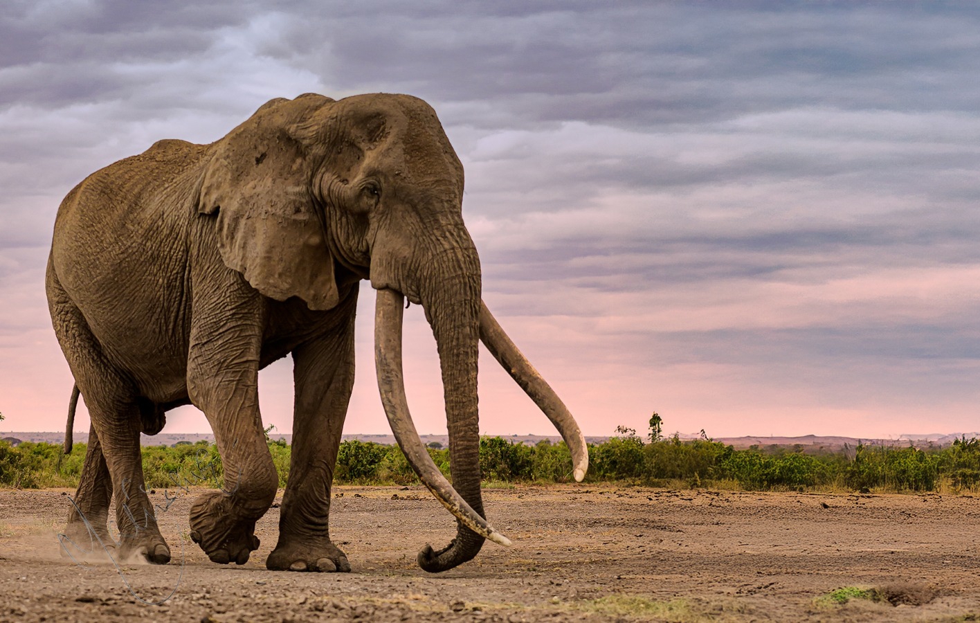 3-Days Amboseli and Tsavo East 